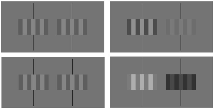 Dynamic Cancellation of Perceived Rotation from the Venetian Blind Effect.