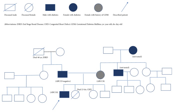 First Report of Diabetes Phenotype due to a Loss-of-Function <i>ABCC8</i> Mutation Previously Known to Cause Congenital Hyperinsulinism.