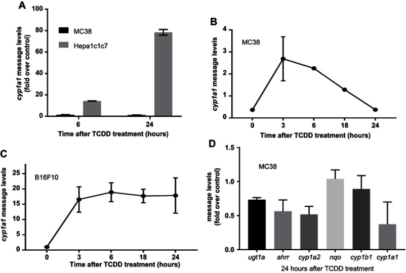 Aryl hydrocarbon receptor acts as a tumor suppressor in a syngeneic MC38 colon carcinoma tumor model.