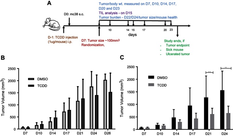 Aryl hydrocarbon receptor acts as a tumor suppressor in a syngeneic MC38 colon carcinoma tumor model.