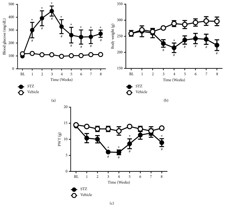 Effects of Dual Peroxisome Proliferator-Activated Receptors <i>α</i> and <i>γ</i> Activation in Two Rat Models of Neuropathic Pain.