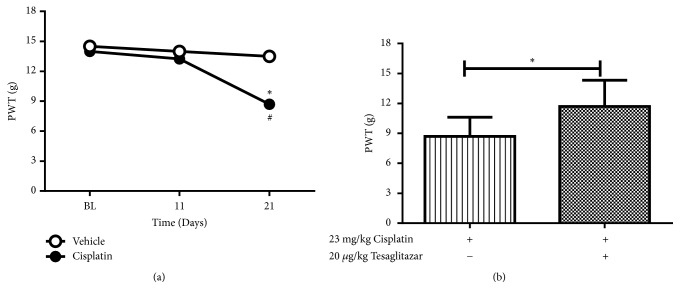 Effects of Dual Peroxisome Proliferator-Activated Receptors <i>α</i> and <i>γ</i> Activation in Two Rat Models of Neuropathic Pain.