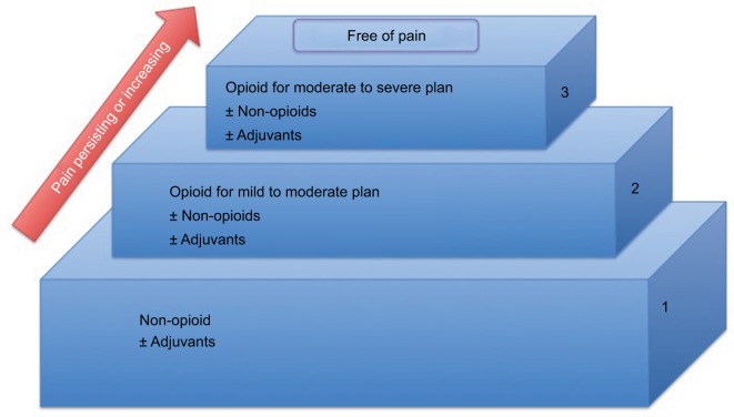 Pain management in patients with malignant mesothelioma: challenges and solutions.