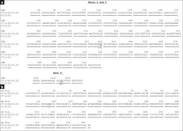 HLA-A*29:01-B*07:05-C*15:29*DRB1*10:01-DQB1*05:01, a deduced probable human leukocyte antigen haplotype in association with a human leukocyte antigen-C low-incidence allele C*15:29 in Taiwanese individuals.