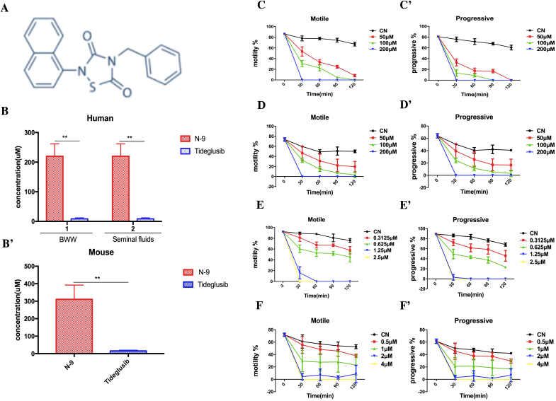 Tideglusib, a prospective alternative to nonoxynol-9 contraceptive