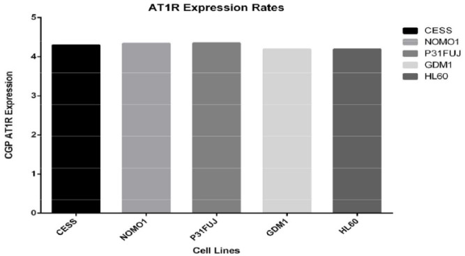 The impact of At1r inhibition via losartan on the anti-leukaemic effects of doxorubicin in acute myeloid leukaemia.