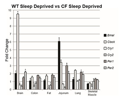 Dysregulation of Circadian Rhythm Gene Expression in Cystic Fibrosis Mice.