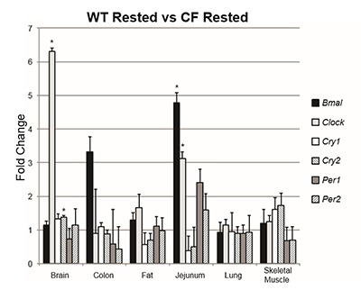 Dysregulation of Circadian Rhythm Gene Expression in Cystic Fibrosis Mice.