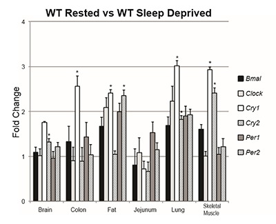 Dysregulation of Circadian Rhythm Gene Expression in Cystic Fibrosis Mice.