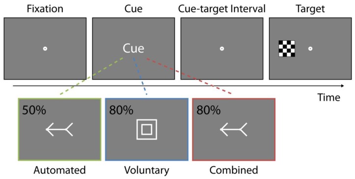 Attention Combines Similarly in Covert and Overt Conditions.