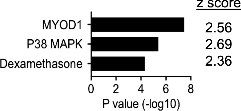 RNA-sequencing reveals altered skeletal muscle contraction, E3 ligases, autophagy, apoptosis, and chaperone expression in patients with critical illness myopathy.