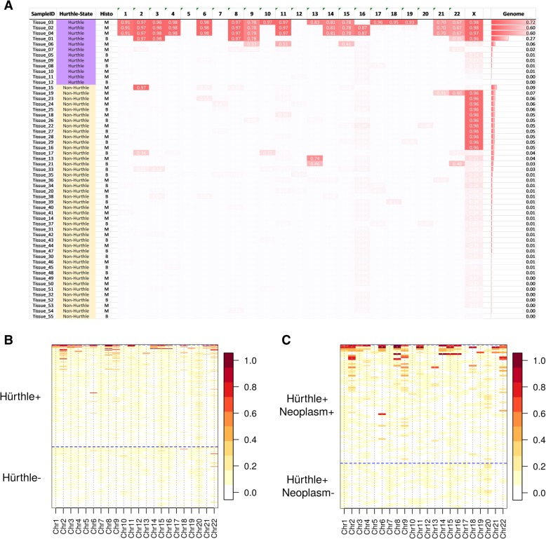 Identification of Hürthle cell cancers: solving a clinical challenge with genomic sequencing and a trio of machine learning algorithms.