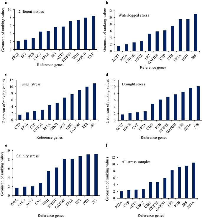 Identification and validation of reference genes for real-time quantitative RT-PCR analysis in jute