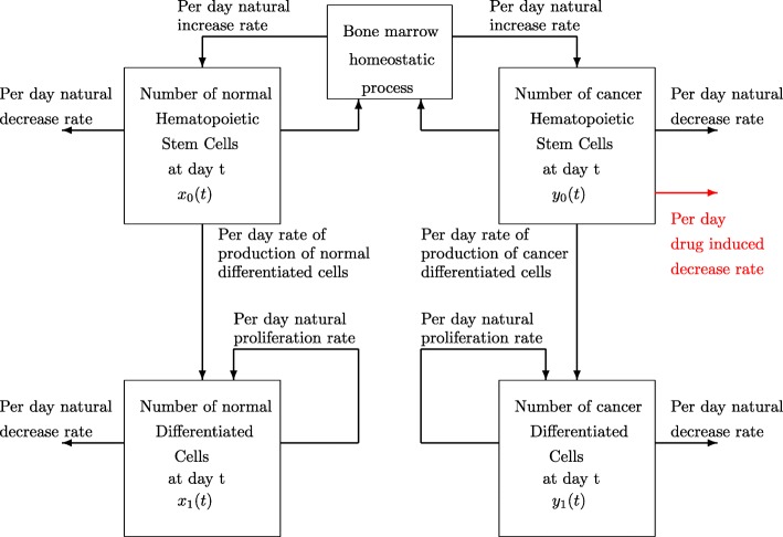 The effects of time valuation in cancer optimal therapies: a study of chronic myeloid leukemia.