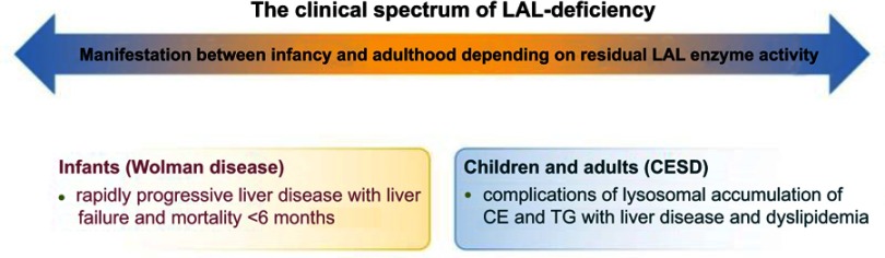 Lysosomal acid lipase deficiency - early diagnosis is the key.