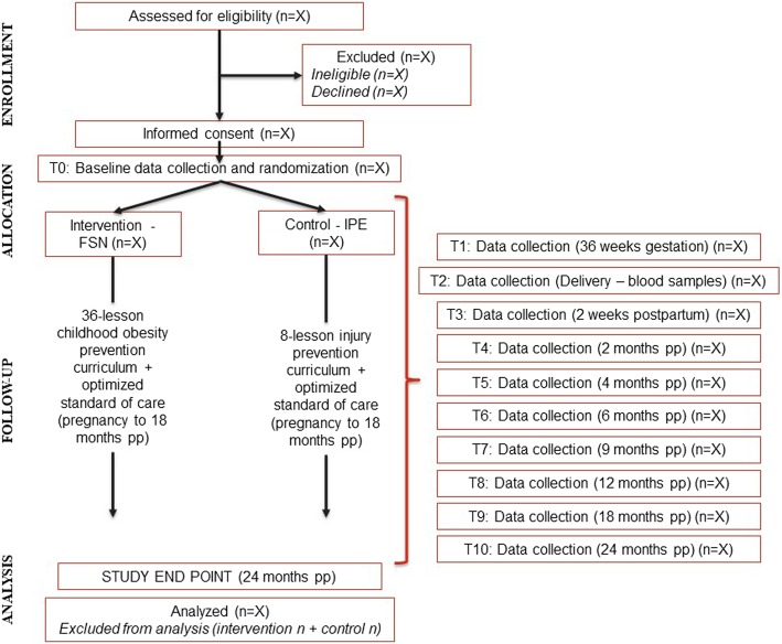 Family Spirit Nurture (FSN) - a randomized controlled trial to prevent early childhood obesity in American Indian populations: trial rationale and study protocol.