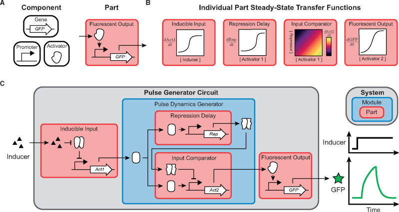 Principles of synthetic biology: a MOOC for an emerging field.