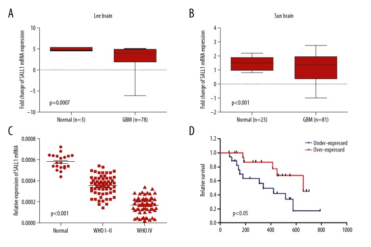 Spalt-Like Transcription Factor 1 (SALL1) Gene Expression Inhibits Cell Proliferation and Cell Migration of Human Glioma Cells Through the Wnt/β-Catenin Signaling Pathway.