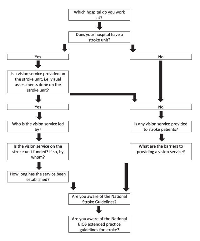 Ten Years On - A Survey of Orthoptic Stroke Services in the UK and Ireland.