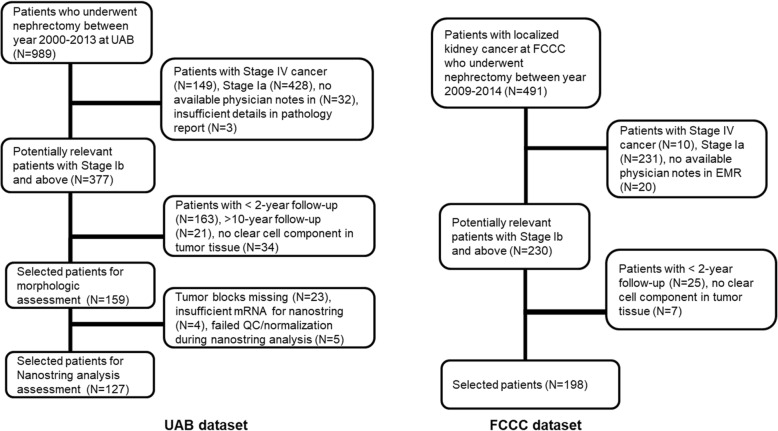 Prognostic impact of immune gene expression signature and tumor infiltrating immune cells in localized clear cell renal cell carcinoma.