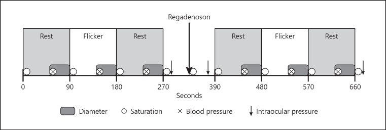 The Diameter of Retinal Arterioles Is Unaffected by Intravascular Administration of the Adenosine A<sub>2A</sub> Receptor Agonist Regadenoson in Normal Persons.