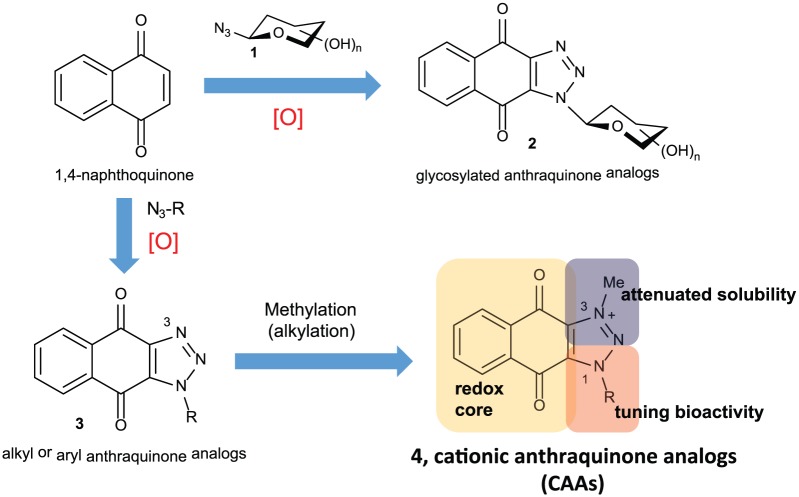 Cationic Anthraquinone Analogs as Selective Antimicrobials.