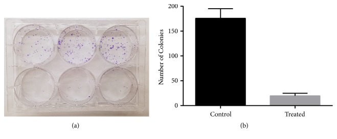 Inhibition of Prostate Cancer Cells by 4,5-Dicaffeoylquinic Acid through Cell Cycle Arrest.