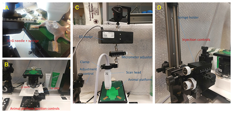 Ultrasound-Guided Approaches to Improve Orthotopic Mouse Xenograft Models for Hepatocellular Carcinoma