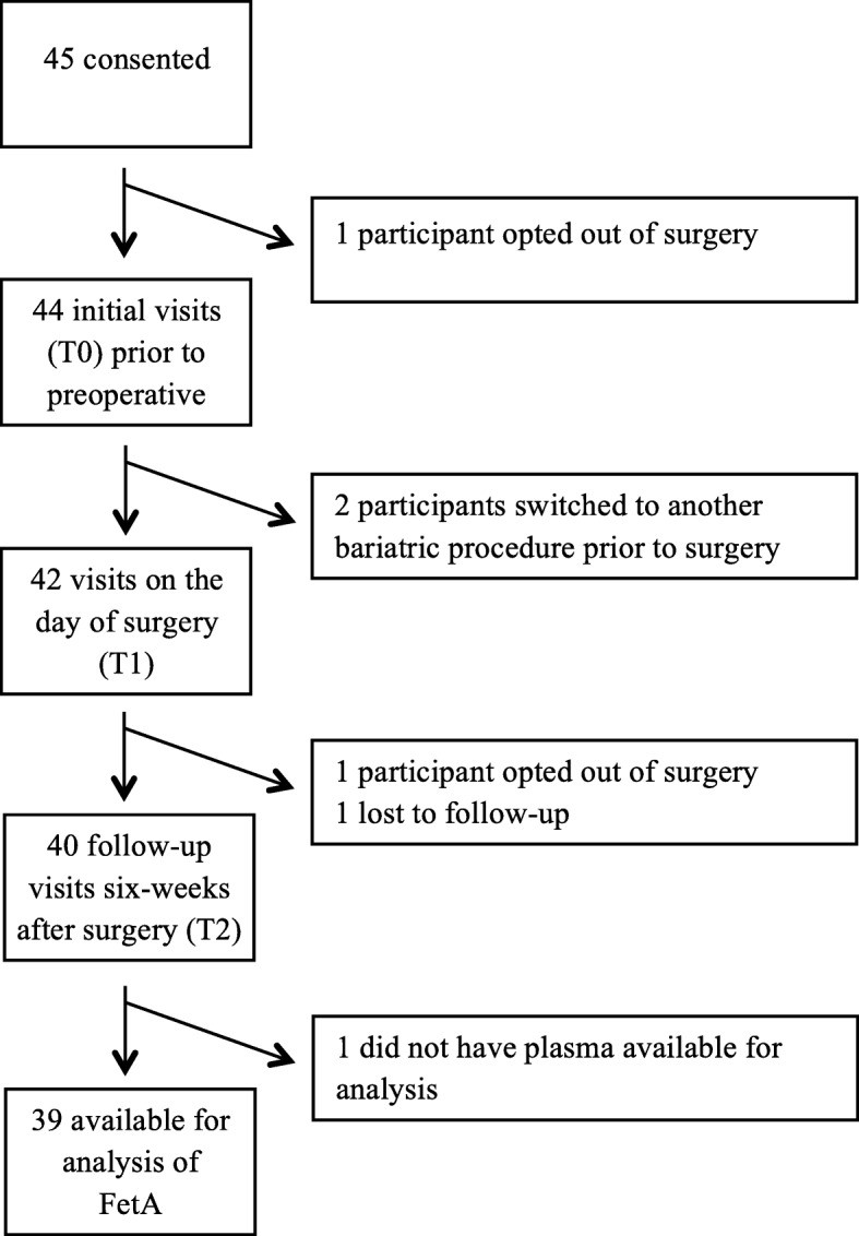 Larger omental adipocytes correlate with greater Fetuin-A reduction following sleeve gastrectomy.