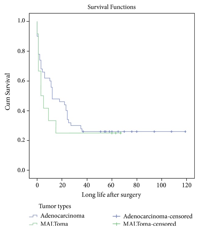 Prognostic Factors and Survival Time in Patients with Small Bowel Tumors: A Retrospective Observational Study.