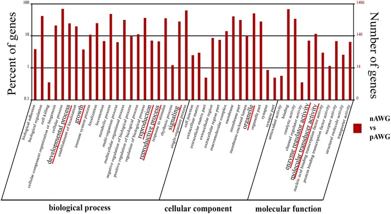 Comparative analysis of differentially expressed genes between the ovaries from pregnant and nonpregnant goats using RNA-Seq.