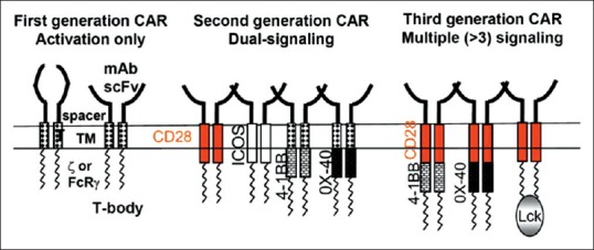 Immunotherapy in breast cancer.