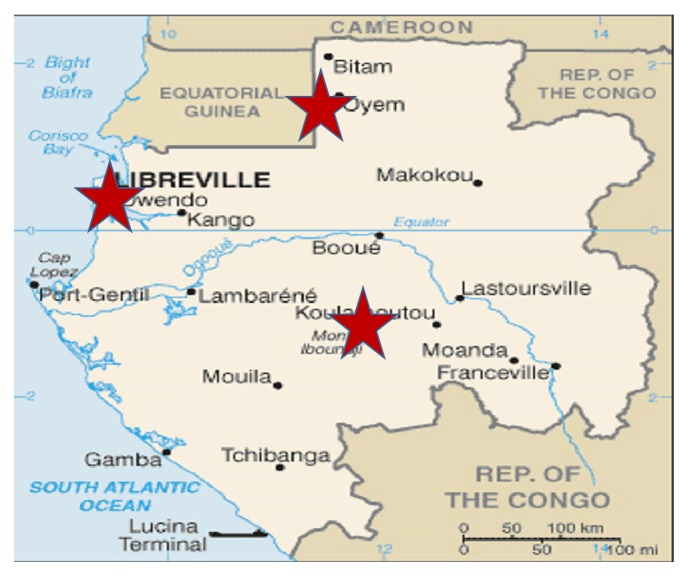 Increased Frequency of <i>Pfdhps</i> A581G Mutation in <i>Plasmodium falciparum</i> Isolates from Gabonese HIV-Infected Individuals.