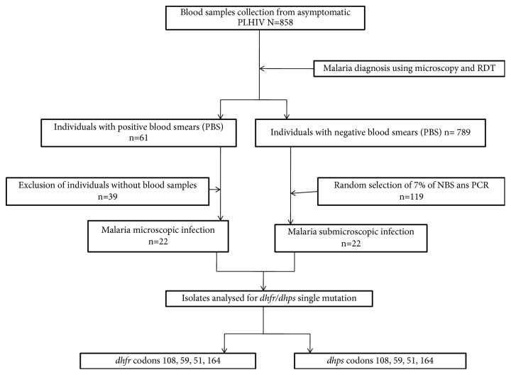 Increased Frequency of <i>Pfdhps</i> A581G Mutation in <i>Plasmodium falciparum</i> Isolates from Gabonese HIV-Infected Individuals.