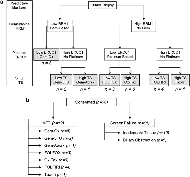 A Pilot Trial of Molecularly Tailored Therapy for Patients with Metastatic Pancreatic Ductal Adenocarcinoma.