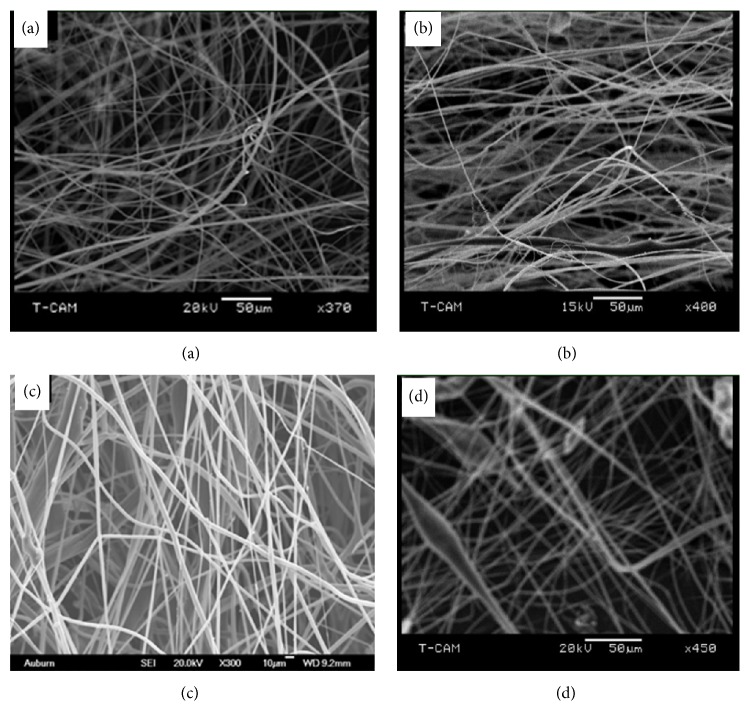 Eggshell Based Nano-Engineered Hydroxyapatite and Poly(lactic) Acid Electrospun Fibers as Potential Tissue Scaffold.