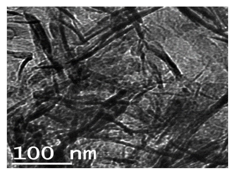 Eggshell Based Nano-Engineered Hydroxyapatite and Poly(lactic) Acid Electrospun Fibers as Potential Tissue Scaffold.