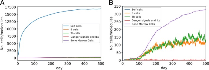 MiStImm: an agent-based simulation tool to study the self-nonself discrimination of the adaptive immune response.