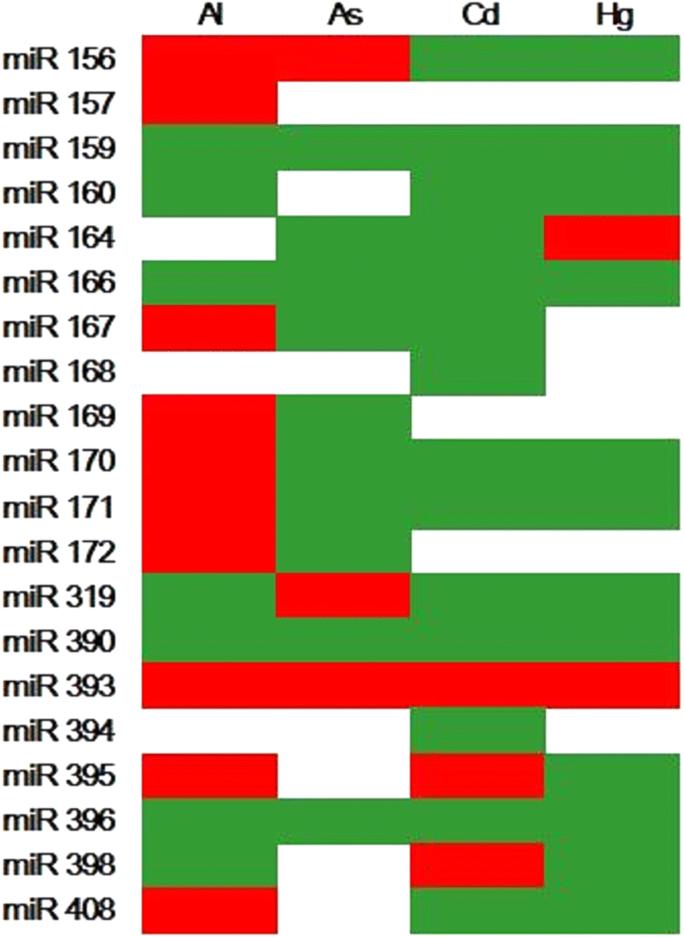 Characterization of cadmium-responsive MicroRNAs and their target genes in maize (Zea mays) roots