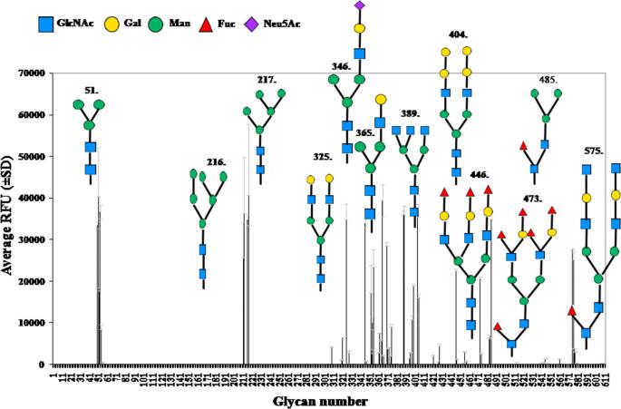 Exploration of carbohydrate binding behavior and anti-proliferative activities of Arisaema tortuosum lectin