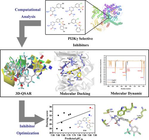Rational Design of Novel Phosphoinositide 3-Kinase Gamma (PI3Kγ ...