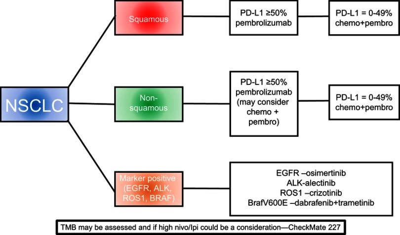 Combination pembrolizumab plus chemotherapy: a new standard of care for patients with advanced non-small-cell lung cancer.