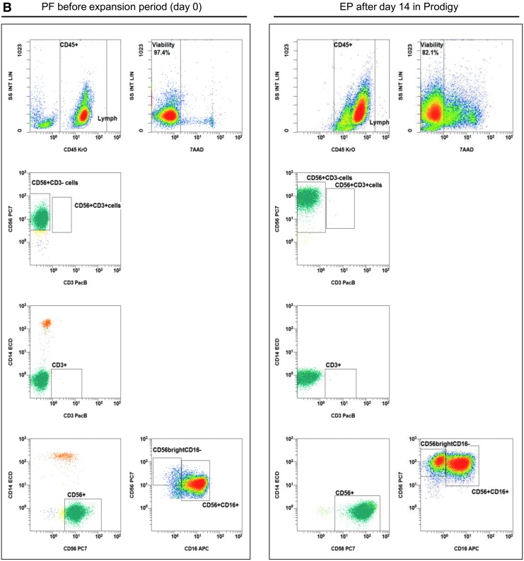 Development of Automated Separation, Expansion, and Quality Control Protocols for Clinical-Scale Manufacturing of Primary Human NK Cells and Alpharetroviral Chimeric Antigen Receptor Engineering.