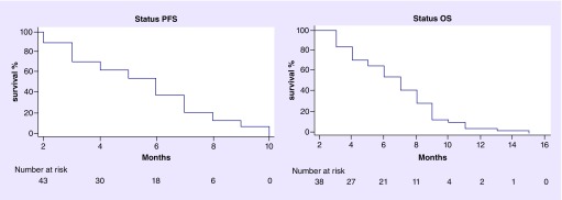 Biweekly fotemustine schedule for recurrent glioblastoma in the elderly: activity and toxicity assessment of a multicenter study.