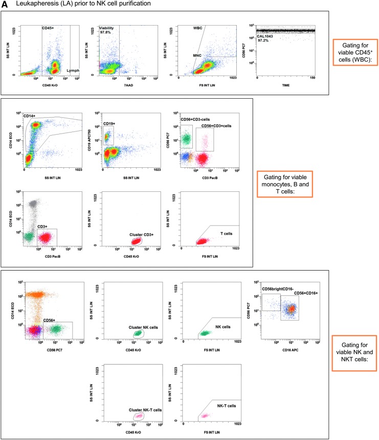 Development of Automated Separation, Expansion, and Quality Control Protocols for Clinical-Scale Manufacturing of Primary Human NK Cells and Alpharetroviral Chimeric Antigen Receptor Engineering.