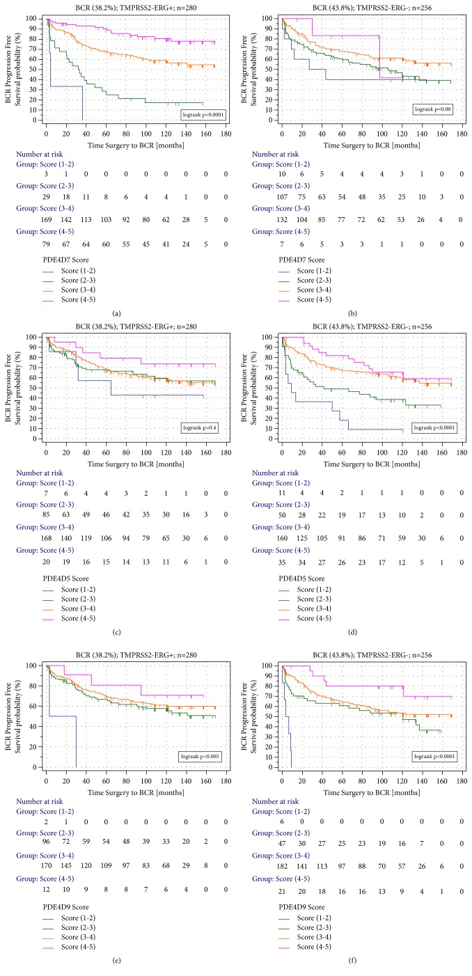 The Association of the Long Prostate Cancer Expressed PDE4D Transcripts to Poor Patient Outcome Depends on the Tumour's TMPRSS2-ERG Fusion Status.