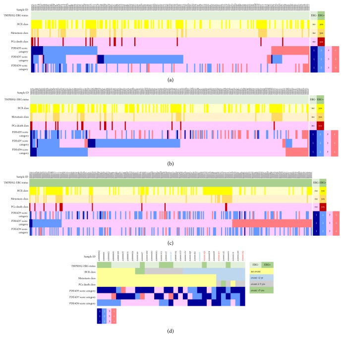 The Association of the Long Prostate Cancer Expressed PDE4D Transcripts to Poor Patient Outcome Depends on the Tumour's TMPRSS2-ERG Fusion Status.