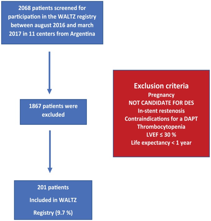 One-Year Follow-Up Results From the Observational, Multicenter, Prospective, and Controlled Registry: The WALTZ All-Comers Study.