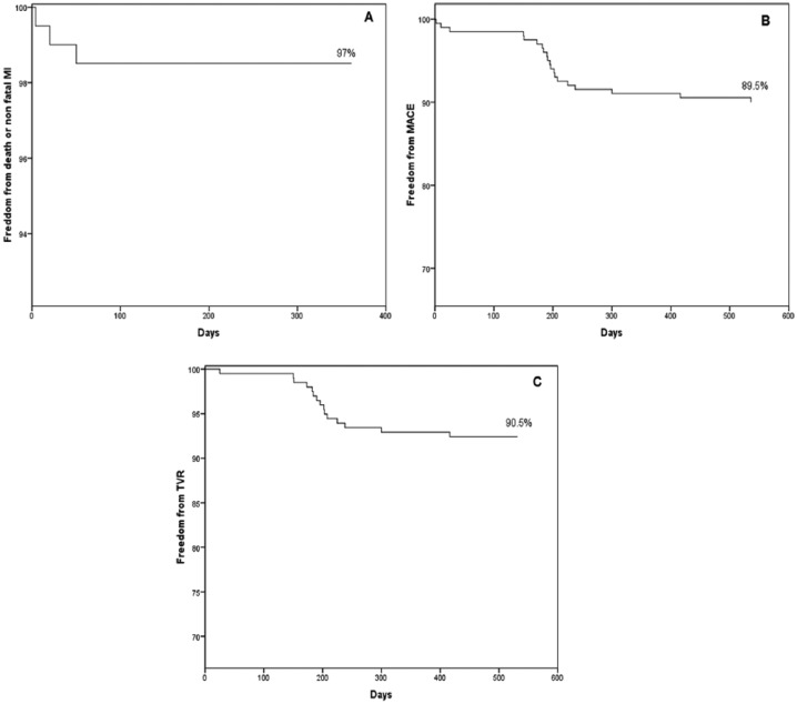 One-Year Follow-Up Results From the Observational, Multicenter, Prospective, and Controlled Registry: The WALTZ All-Comers Study.