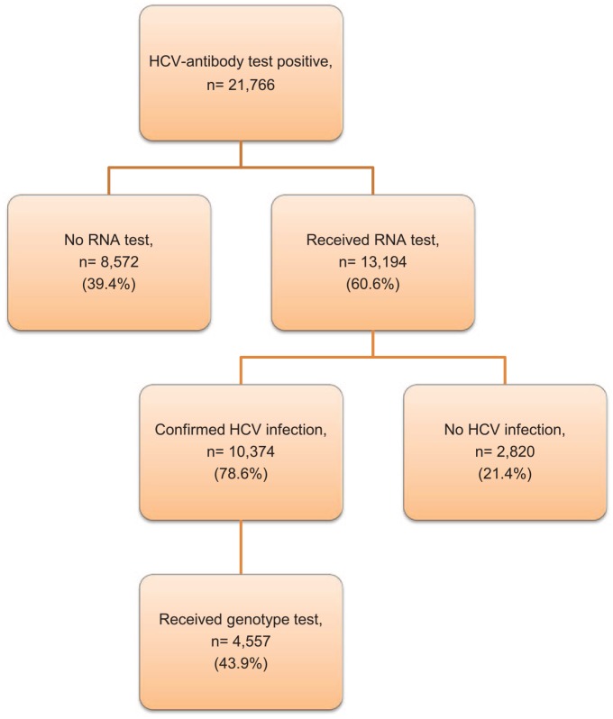 The Massachusetts Hepatitis C Testing Cascade, 2014-2016.